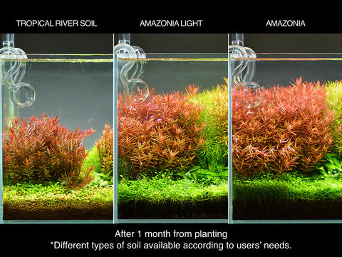 DOOA Tropical River Soil