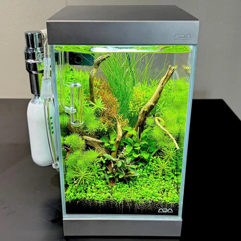 Cube Garden 15-C (15x15x15cm / 4mm)