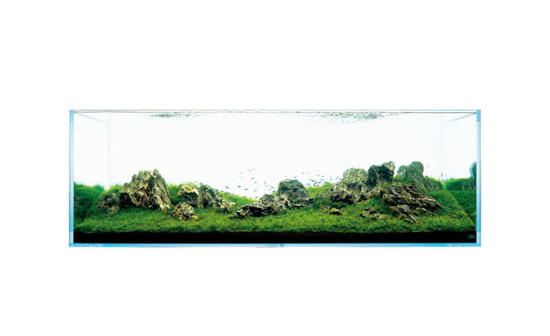 Ryuoh Stone (Main stone mix 40kg for 90-120cm)