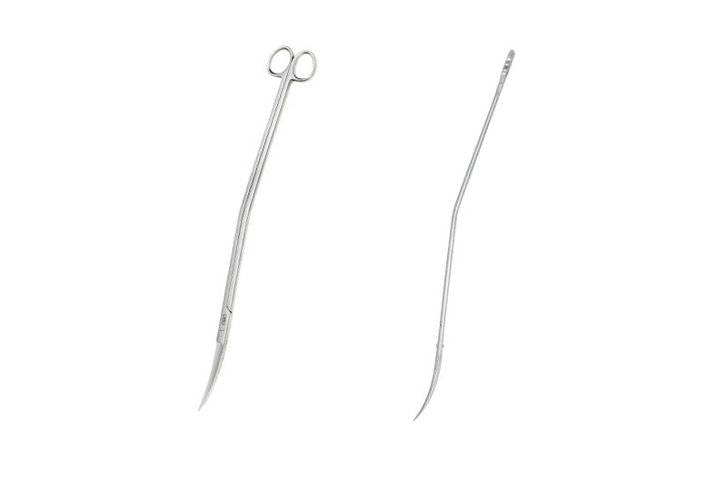 Pro-Scissors Nude