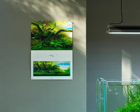 Nature Aquarium Calendar 2025