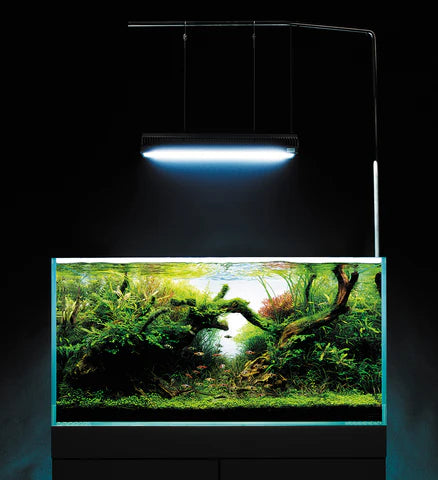 Solar RGB Stand
