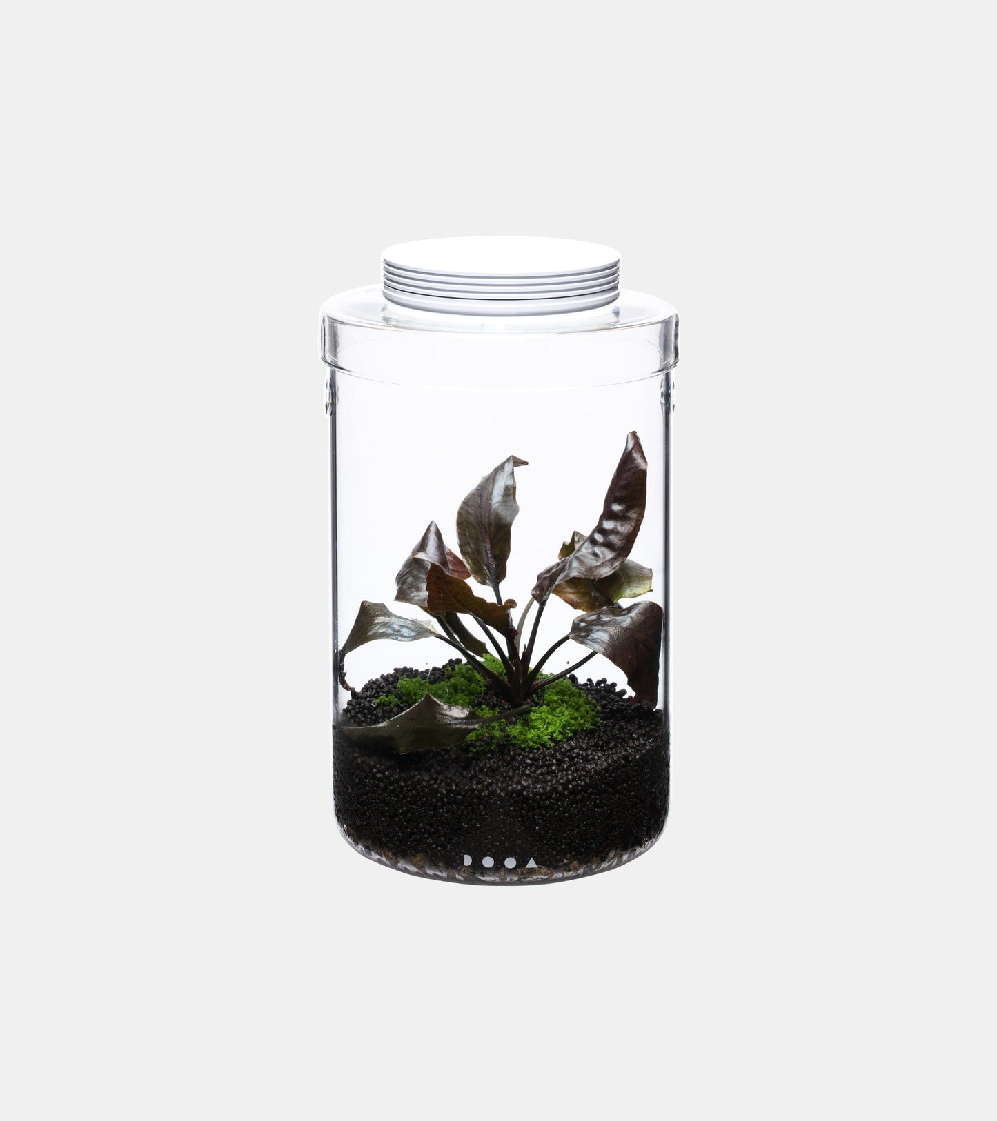 DOOA Glass Pot MARU 130