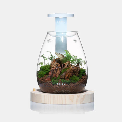 DOOA Magnet Light G Slim