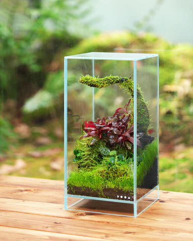 DOOA Jungle Soil
