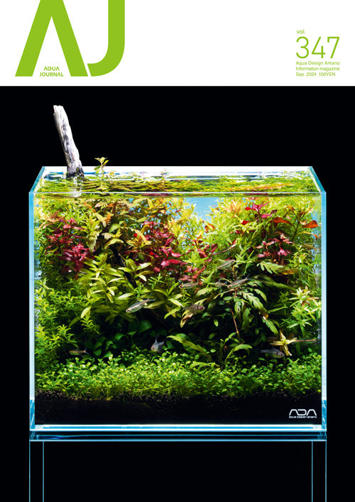 Aqua Journal 347