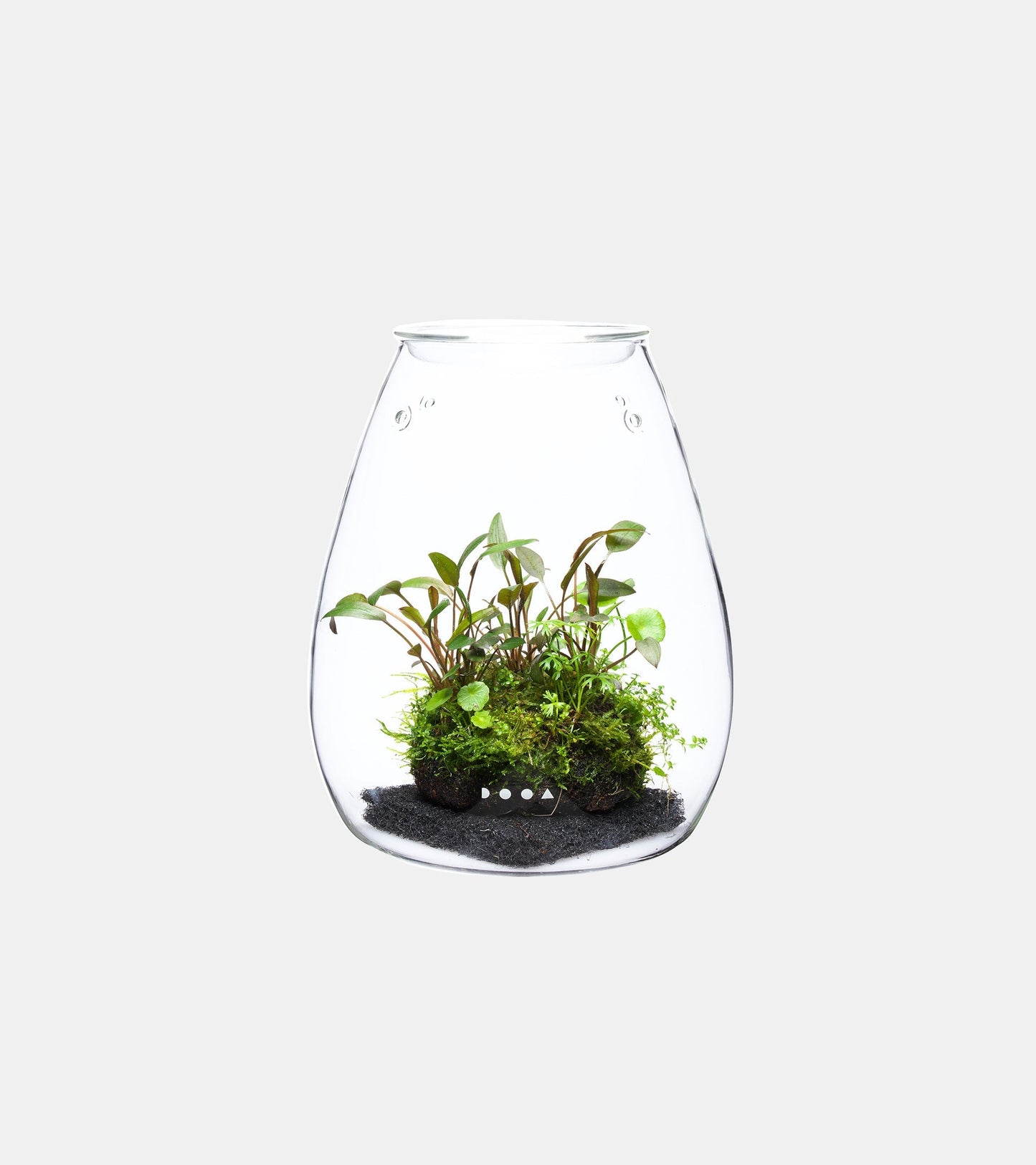 DOOA Glass Pot SHIZUKU