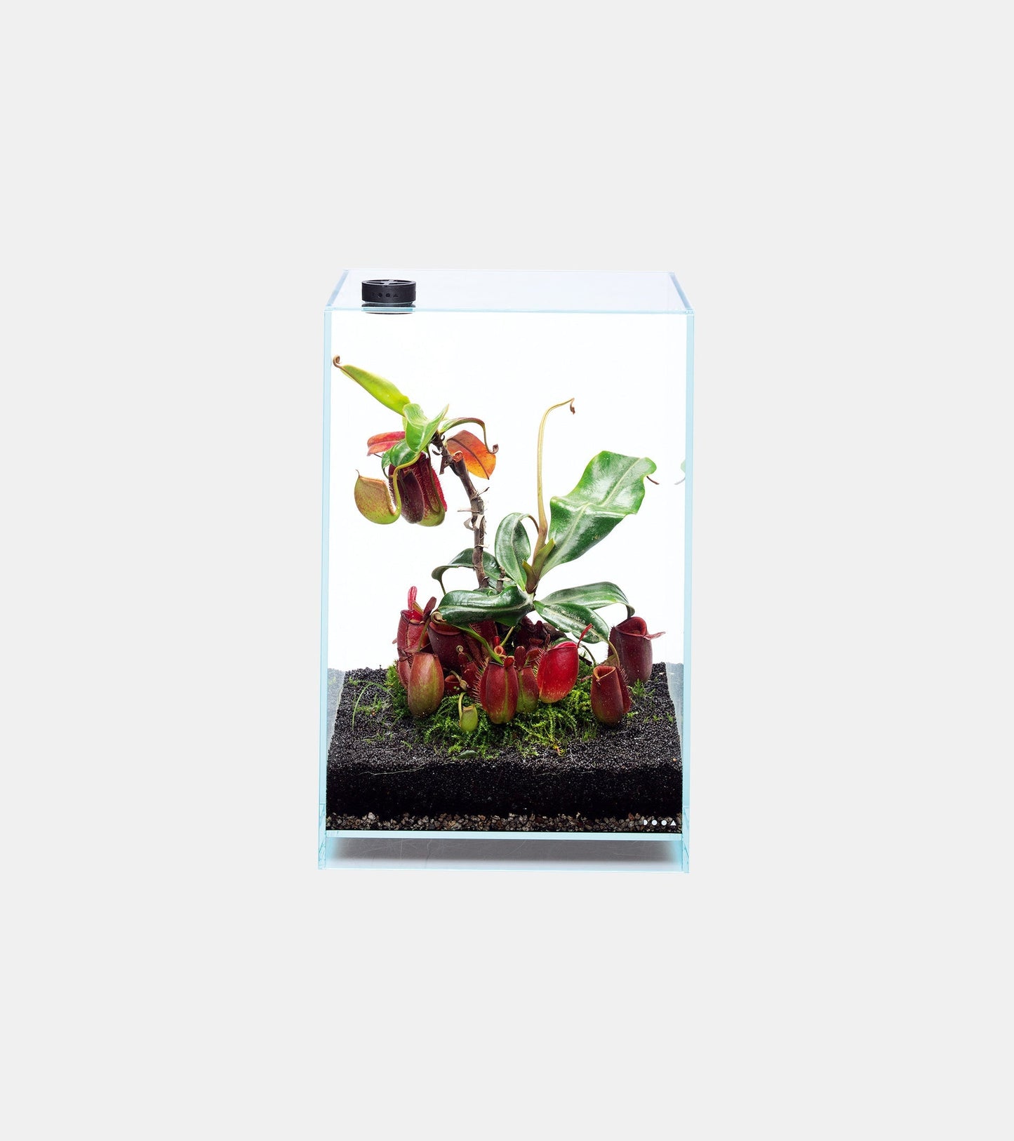 DOOA Neo Glass Cover for Circulation Fan 40