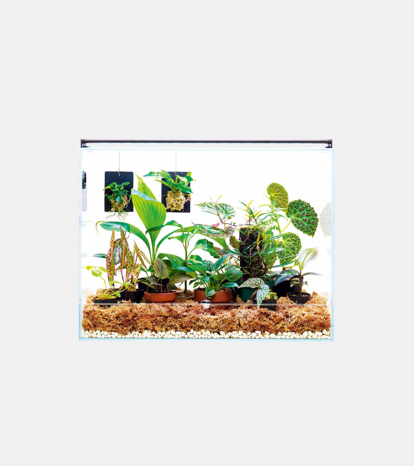 DOOA Neo Glass Paluda 60