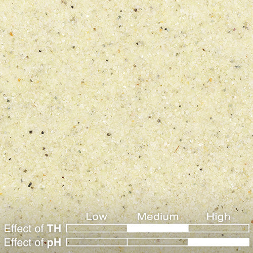 KUMU SA-06 Vanilla Sand 250mL