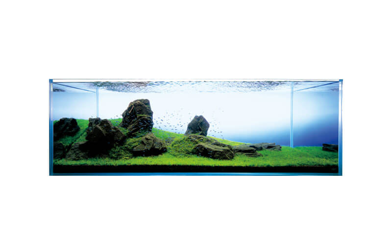 Sansui Stone (Main stone mix 30kg for 90-120cm)