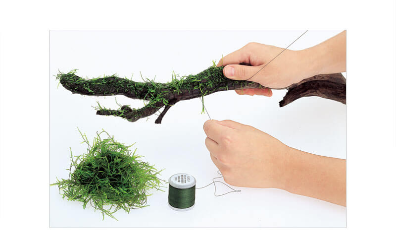 Moss Cotton (200m)