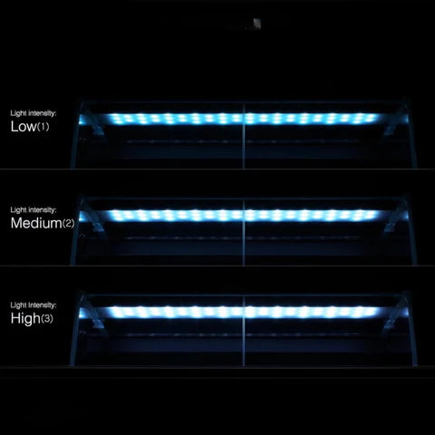 DOOA Paluda Light II