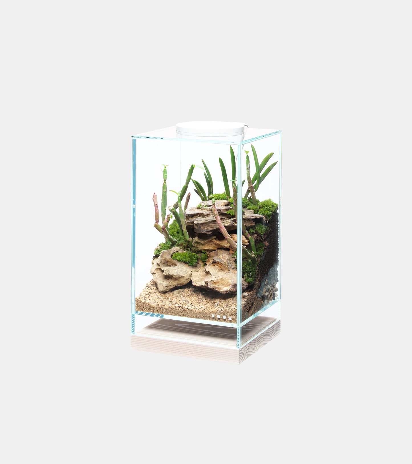 NEO GLASS WOOD BASE